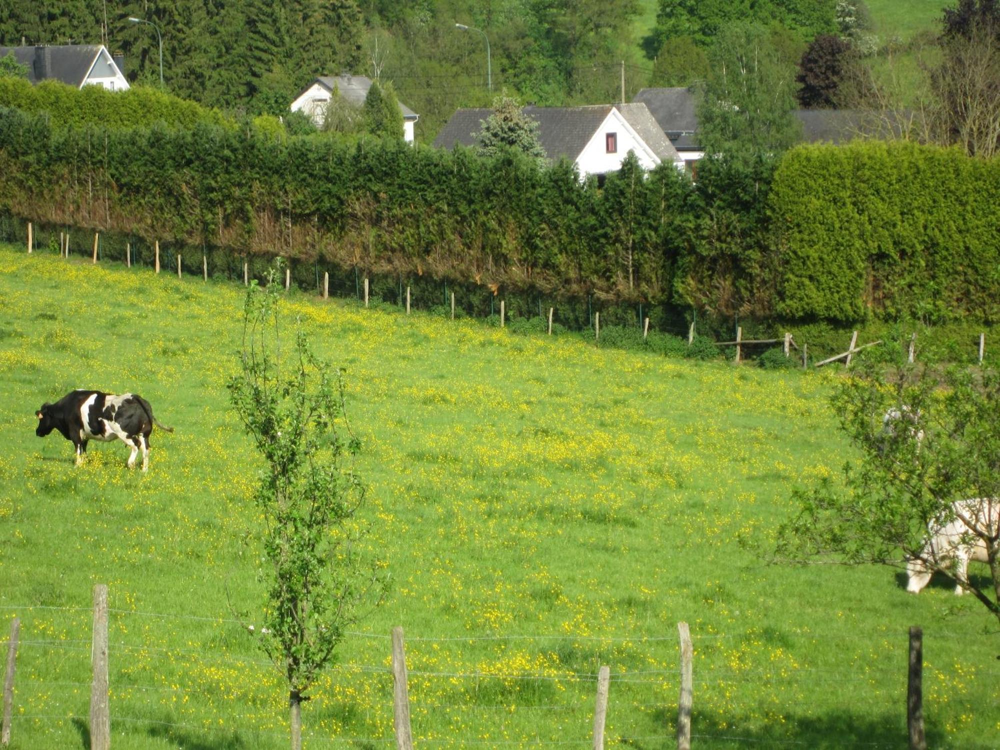 Contemporary Holiday Home In Houffalize With Private Garden Eksteriør bilde